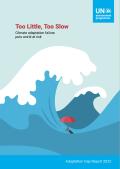 Adaptation Gap Report 2022