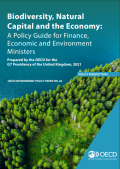 OECD policy