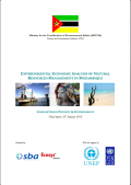 PEI-38_environmental economic analysis of natural resources management in mozambique_0_cover