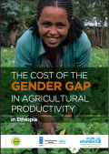 PEI-6_study report the cost of the gender gap in agricultural productivity in ethiopia finalcompresse
