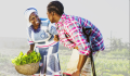 PEA - LESSONS LEARNT REPORT - COVER