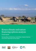 Kenya climate and nature financing options analysis