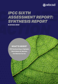 IPCC Sixth Assessment Report Synthesis Report_Business Brief_WBCSD