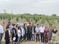 Group photo at KOICA-GGGI sign, two-row windbreak at Agroimpex farm