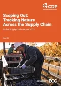 Scoping out_CDP