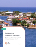 Addressing Loss and Damage_What can we learn from countries National Adaptation Plans_NAP Global Network