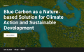 Blue Carbon as a Nature based Solution for Climate Action and Sustainable Development_WRI