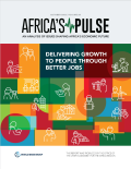 AfricasPullse28_WB_cover