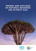 trends_outlook_natural_resources_use_west_asia.pdf