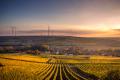 Farm field with wind turbines in the background