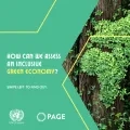 How Can We Assess an Inclusive Green Economy