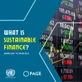 Introduction to Sustainable Finance