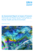 issues of concern