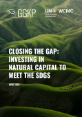 Report cover - rolling green hills with "Closing the Gap: Investing in natural capital to meet the SDGs" 