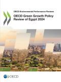 OECD-Egypt