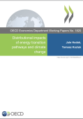 Distributional impacts of energy transition