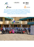 Meeting Report on the Africa Regional Workshop on development of national Persistent Organic Pollutants (POPs) inventories for National Implementation Plans (NIPs) under the Stockholm Convention