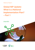 Webinar Report_NIP1_2023Apr26