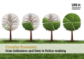 Circular Economy from indicators and Data Policy 