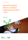 Webinar Report_NIP1