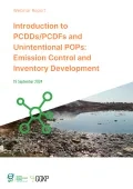 Webinar Report_PCDDsPCDFs&UPOPs_2024Sep19
