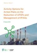 Webinar Report_ActionPlans2_2026Jan