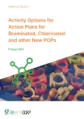 Webinar Report_ActionPlans3_2026Jan
