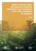 Report on how the BRS Conventions could contribute to the Global Framework on Chemicals
