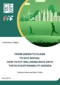 From green to clean to eco-social: how to put wellbeing back onto the EU’s sustainability agenda