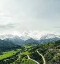 Toward a Green Taxonomy in Armenia