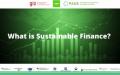 What is sustainable finance_UNITAR, GIZ, PAGE.JPG