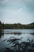 Photo of North American lake and trees by Thomas Lardeau on Unsplash