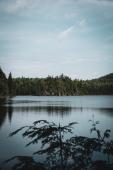 Photo of North American lake and trees by Thomas Lardeau on Unsplash