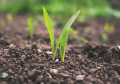 photo from unsplash.PNG