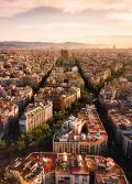 Photo by Alfons Taekema on Unsplash