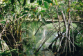 photo from unsplash.PNG