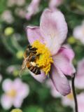 Photo by Aaron Burden on Unsplash