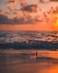 Photo of water by Javardh on Unsplash