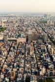 vincent-camacho-645150-unsplash
