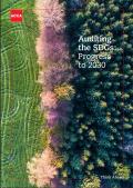 ACCA_Auditing the SDGs_Progress to 2030.JPG