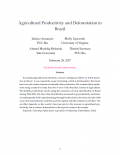 Agricultural Productivity and Deforestation in Brazil