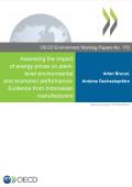 Assessing the impact of energy prices on plant-level environmental and economic performance_OECD.JPG