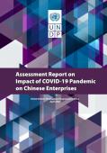 Assessment Report on Impact of COVID-19 Pandemic on Chinese Enterprises_UNDP.jpg