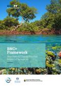 Blue Natural Capital Positive Impacts Framework_BNCFF.jpg