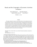 Bougna_Roads and the Geography of Economic Activities in Mexico