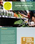 COVID-19 IMPACTS Sustainable Living and Lifestyles FOODSTUFFMOVEMONEYFUN_UNEP.jpg