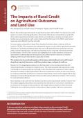 CPI_Impacts of of Rural Credit on Agricultural Outcomes and Land Use.JPG