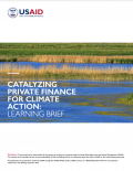 Catalyzing Private Finance for Climate Action-Learning Brief.png