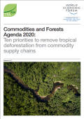Commodities and Forests Agenda 2020