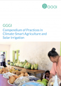 Compendium-of-Practices-in-Climate-Smart-Agriculture-and-Solar-Irrigation.png